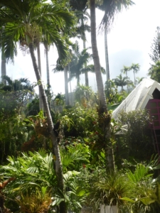 83412226_2544926132461537_8113587598926020608_n