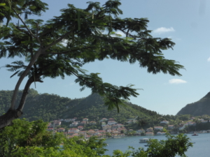 Les-Saintes-Terre-de-haut-27
