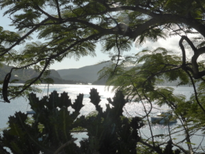 Les-Saintes-Terre-de-haut-30