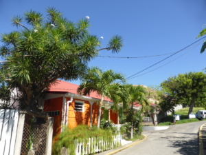 Les-Saintes-Terre-de-haut-5